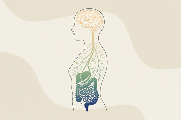 Intestino e cervello: esiste davvero un collegamento? Cosa dice la scienza